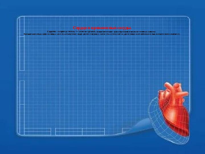 « Сердце и кровеносные сосуды. Сердечно – сосудистая система — система органов , которая обеспечивает циркуляцию крови в ор