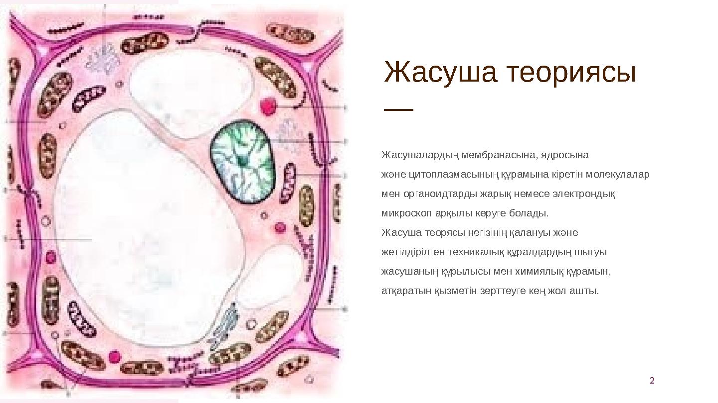 Жасуша теориясы — Жасушалардың мембранасына, ядросына және цитоплазмасының құрамына кіретін молекулалар мен органоидтарды жарық