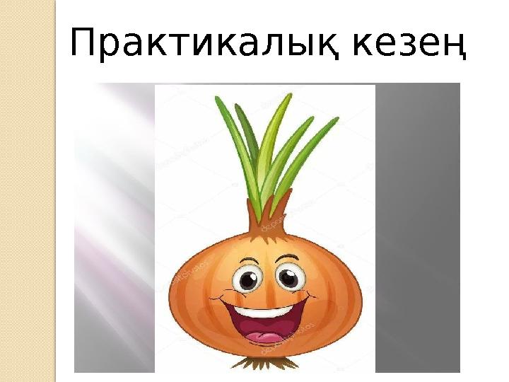 Практикалық кезең