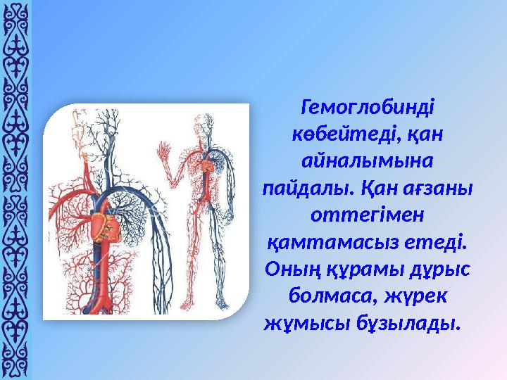 Гемоглобинді көбейтеді, қан айналымына пайдалы. Қан ағзаны оттегімен қамтамасыз етеді. Оның құрамы дұрыс болмаса, жүрек