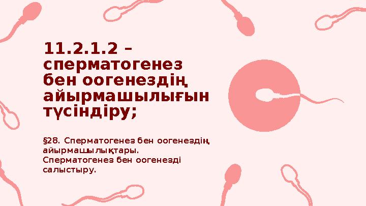 11.2.1.2 – сперматогенез бен оогенездің айырмашылығын түсіндіру; §28. Сперматогенез бен оогенездің айырмашылықтары. Сперма