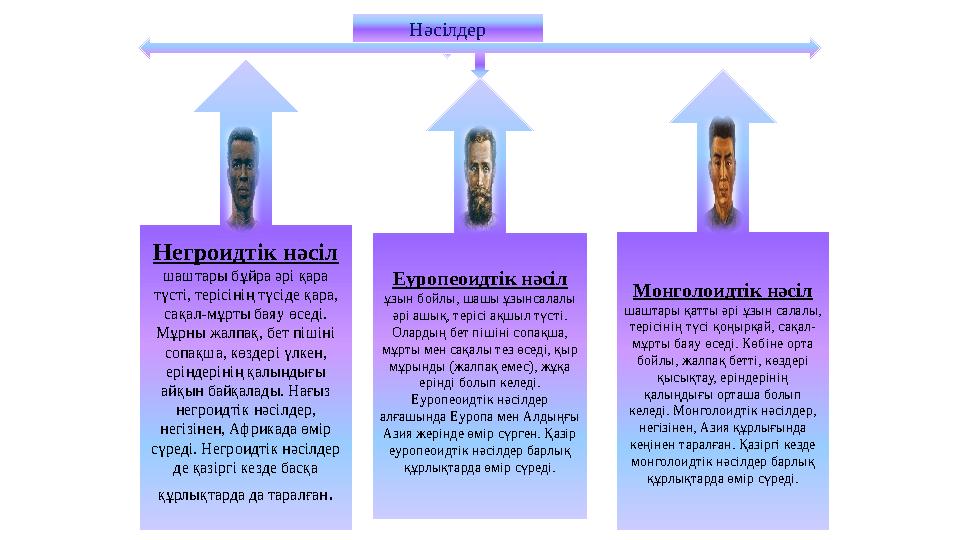 Нәсілдер Негроидтік нәсіл шаштары бұйра әрі қара түсті, терісінің түсіде қара, сақал-мұрты баяу өседі. Мұрны жалпақ, бет піші