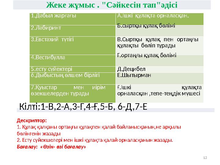 13Жеке жұмыс . "Сәйкесін тап"әдісі 1.Дабыл жарғағы А.Ішкі құлақта орналасқан. 2.Лабиринт Б.сыртқы құлақ бөлімі 3.Евстахий