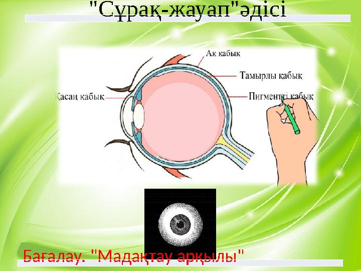 4"Сұрақ-жауап"әдісі Бағалау. "Мадақтау арқылы"