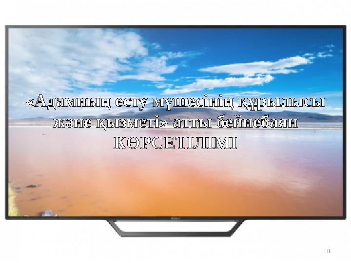 8«Адамның есту мүшесінің құрылысы және қызметі» атты бейнебаян КӨРСЕТІЛІМІ