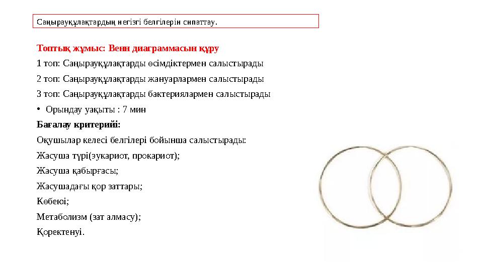 Саңырауқұлақтардың негізгі белгілерін сипаттау . Топтық жұмыс: Венн диаграммасын құру 1 топ: Саңырауқұлақтарды өсімдіктермен са