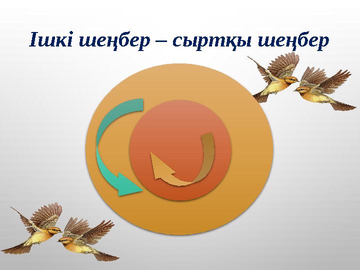 Ішкі шеңбер – сыртқы шеңбер