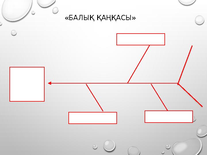 «БАЛЫҚ ҚАҢҚАСЫ»