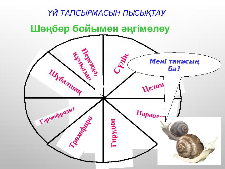 Н ер еи д а , қ ұ м қ а за р Ш ұба л ш аң С ү л ік Ц е л о м Г и р у д и н П а р а п о д и я Г