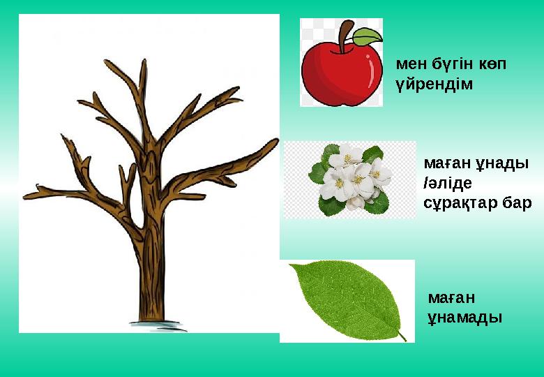 мен бүгін көп үйрендім маған ұнады /әліде сұрақтар бар маған ұнамады