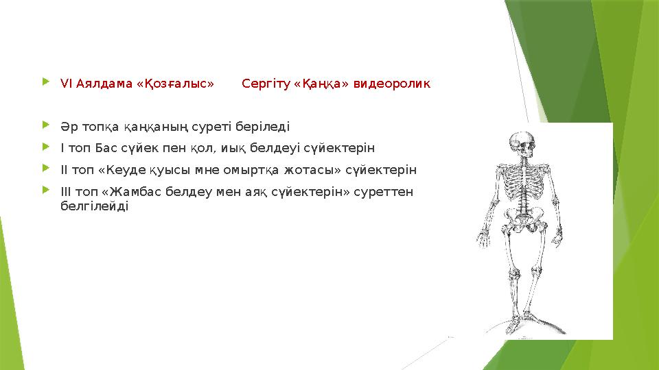  V І Аялдама «Қозғалыс» Сергіту «Қаңқа» видеоролик  Әр топқа қаңқаның суреті беріледі  І топ Бас сүйек пен қол, иық бел