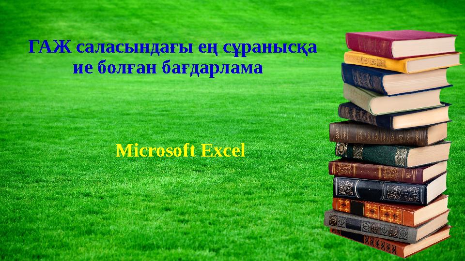 ГАЖ саласындағы ең сұранысқа ие болған бағдарлама Microsoft Excel