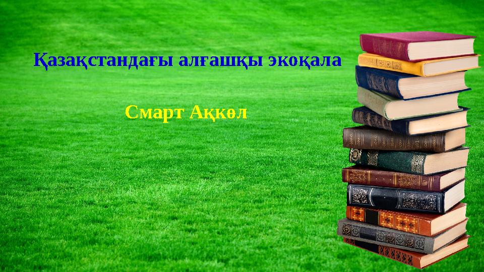 Қазақстандағы алғашқы экоқала Смарт Ақкөл