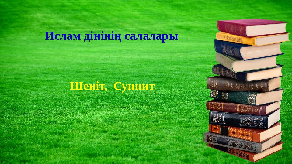 Ислам дінінің салалары Шеиіт, Суннит