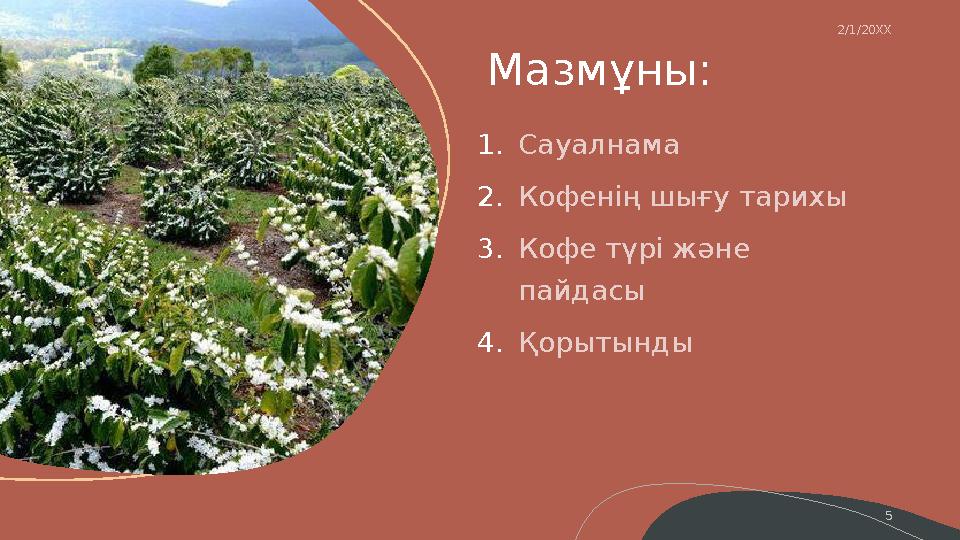 Мазмұны: 1. 2. 3. 4.2/1/20XX Сауалнама Кофенің шығу тарихы Кофе түрі және пайдасы Қорытынды 5