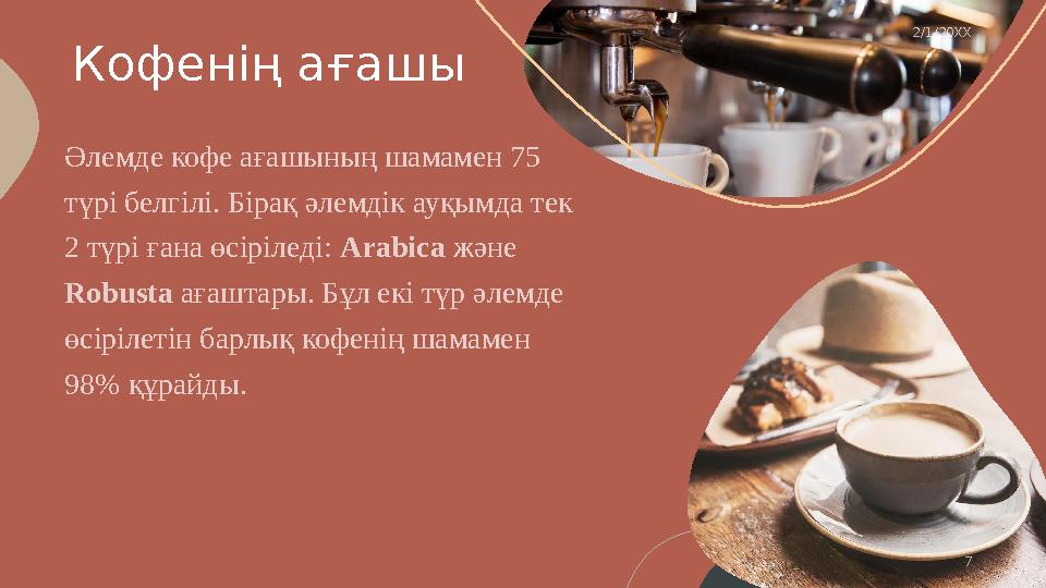 Толық семіз әйелдермен видео порно секс