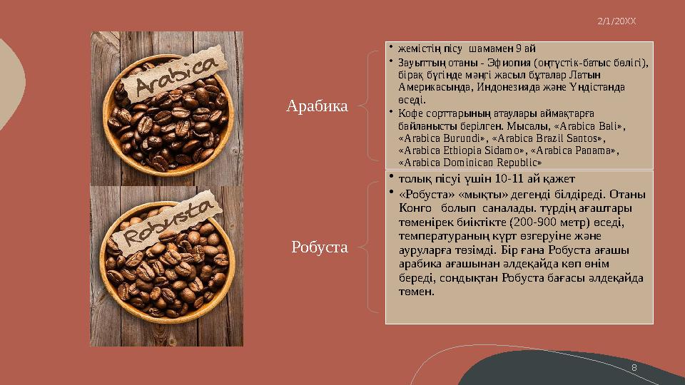 Арабика • жемістің пісу шамамен 9 ай • Зауыттың отаны - Эфиопия (оңтүстік-батыс бөлігі), бірақ бүгінде мәңгі жасыл бұталар Лат
