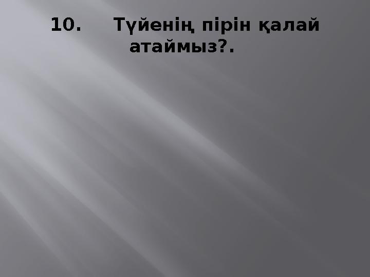 10. Түйенің пірі н қалай атаймыз? .