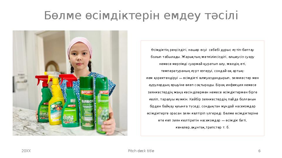 Өсімдіктің реңсіздігі, нашар өсуі себебі дұрыс күтіп-баптау болып табылады. Жарықтың жеткіліксіздігі, өлшеусіз суару немесе м