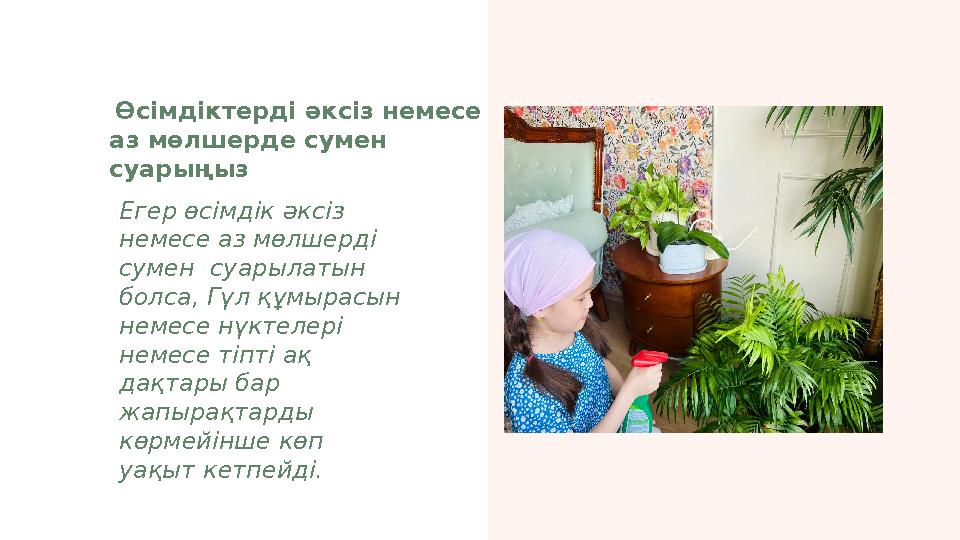 Өсімдіктерді әксіз немесе аз мөлшерде сумен суарыңыз Егер өсімдік әксіз немесе аз мөлшерді сумен суарылатын болса, Гүл