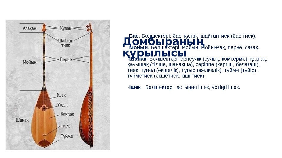 • Бас . Бөлшектері: бас, құлақ, шайтантиек (бас тиек). Мойын . Бөлшектері: мойын, мойынғақ, перне, сағақ. Шанақ . Бөлшектері: ер