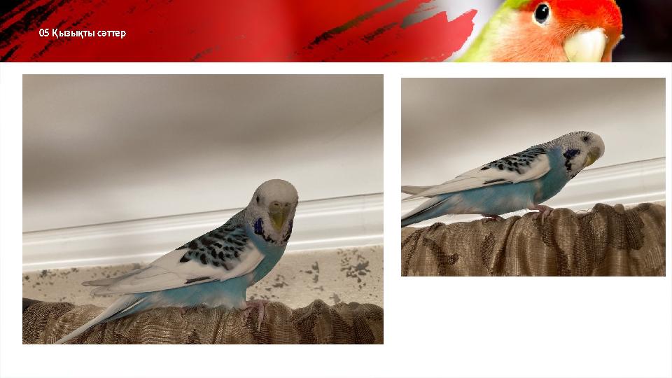 05 Қызықты сәттер