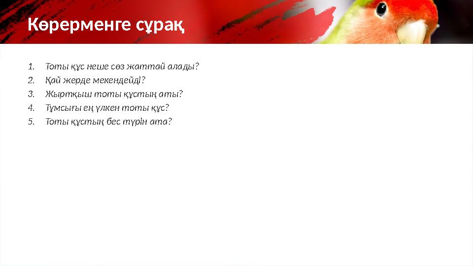 1. Тоты құс неше сөз жаттай алады? 2. Қай жерде мекендейді? 3. Жыртқыш тоты құстың аты? 4. Тұмсығы ең үлкен тоты құс? 5. Тоты құ