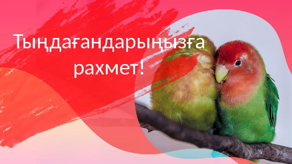 Тыңдағандарыңызға рахмет!