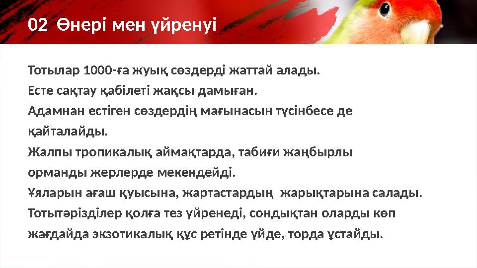 Тотылар 1000-ға жуық сөздерді жаттай алады. Есте сақтау қабілеті жақсы дамыған. Адамнан естіген сөздердің мағынасын түсінбесе де
