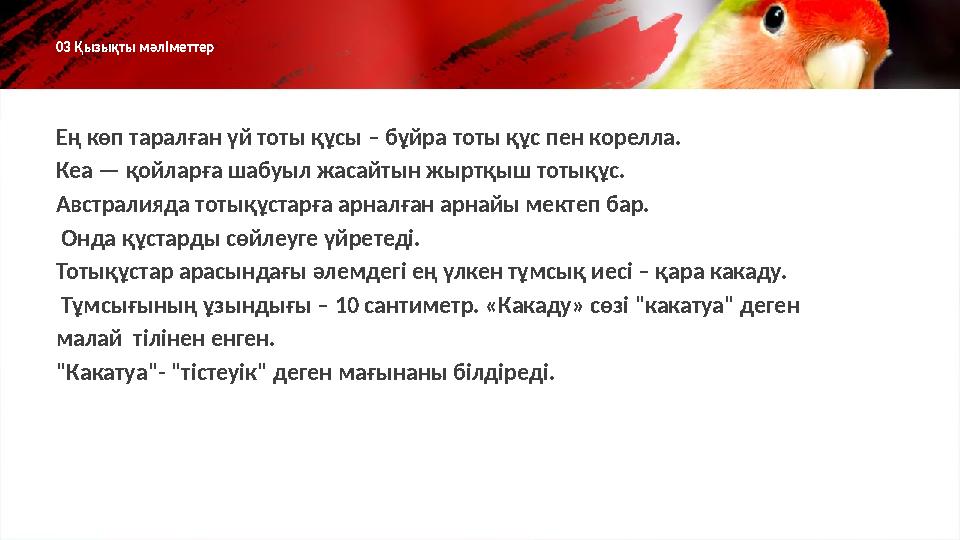 Ең көп таралған үй тоты құсы – бұйра тоты құс пен корелла. Кеа — қойларға шабуыл жасайтын жыртқыш тотықұс. Австралияда тотықұста