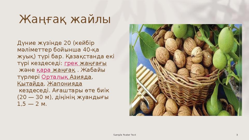 Жаңғақ жайлы Дүние жүзінде 20 (кейбір мәліметтер бойынша 40-қа жуық) түрі бар. Қазақстанда екі түрі кездеседі: грек жаңғағы