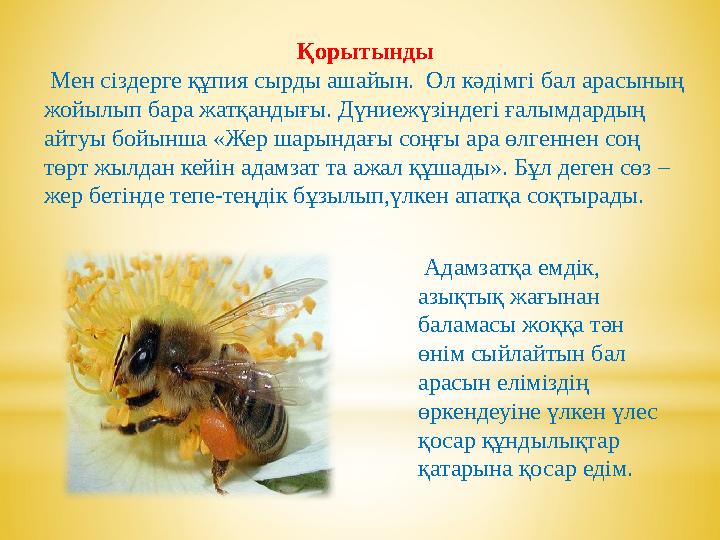 Қорытынды Мен сіздерге құпия сырды ашайын. Ол кәдімгі бал арасының жойылып бара жатқандығы. Дүниежүзіндегі ғалымдардың айту