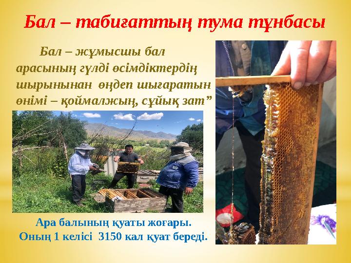 Бал – табиғаттың тума тұнбасы Бал – жұмысшы бал арасының гүлді өсімдіктердің шырынынан өңдеп шығаратын өнімі – қойм