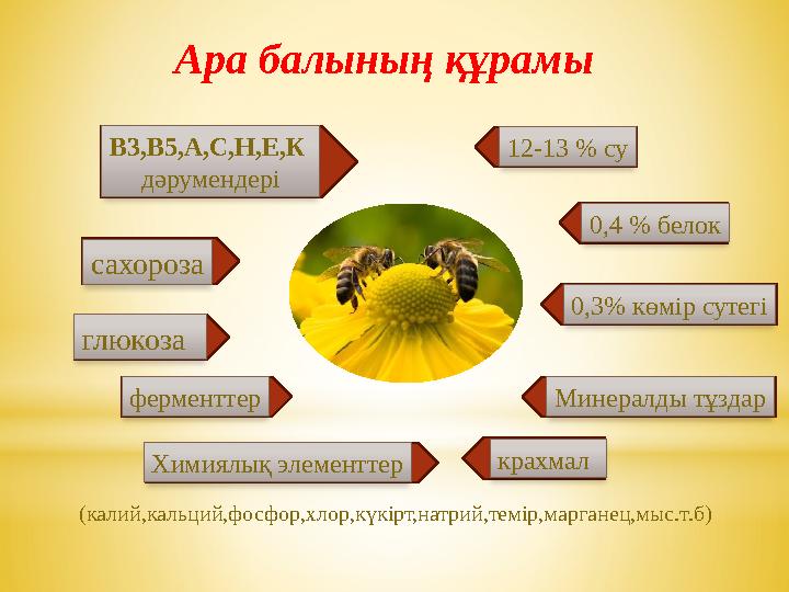 Ара балының құрамы 12-13 % су 0 , 4 % белок 0,3 % көмір сутегі глюкоза сахороза Химиялық элементтерВ3,В5,А,С,Н,Е,К дәруме