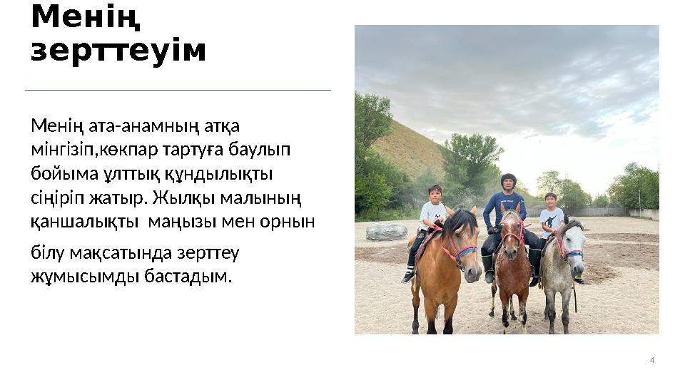 4Менің зерттеуім Менің ата-анамның атқа мінгізіп,көкпар тартуға баулып бойыма ұлттық құндылықты сіңіріп жатыр. Жылқы малының