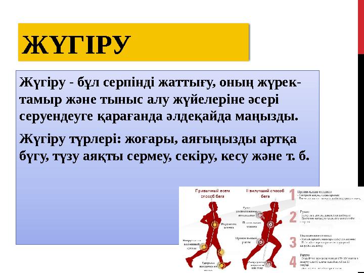 ЖҮГІРУ Жүгіру - бұл серпінді жаттығу, оның жүрек- тамыр және тыныс алу жүйелеріне әсері серуендеуге қарағанда әлдеқайда маңызды