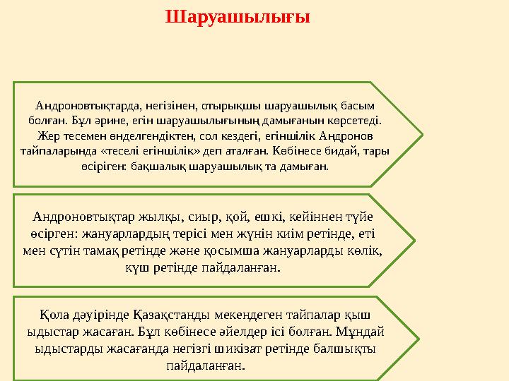 Шаруашылығы Андроновтықтарда, негізінен, отырықшы шаруашылық басым болған. Бұл әрине, егін шаруашылығының дамы