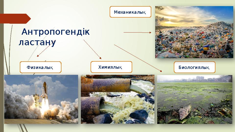 Антропогендік ластану Физикалық Химиялық Биологиялық Механикалық