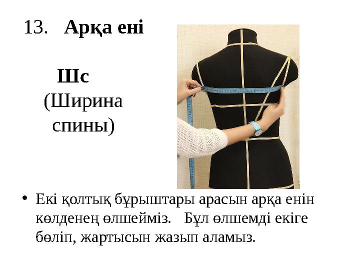13 . Арқа ені Шс (Ширина спины) • Екі қолтық бұрыштары арасын арқа енін көлденең өлшейміз. Бұл өлшемді екіге б