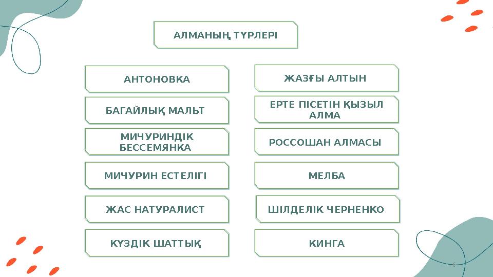 6АНТОНОВКА БАГАЙЛЫҚ МАЛЬТ ЖАЗҒЫ АЛТЫН КҮЗДІК ШАТТЫҚ МИЧУРИНДІК БЕССЕМЯНКА МИЧУРИН ЕСТЕЛІГІ ЖАС НАТУРАЛИСТ ЕРТЕ ПІСЕТІН ҚЫ