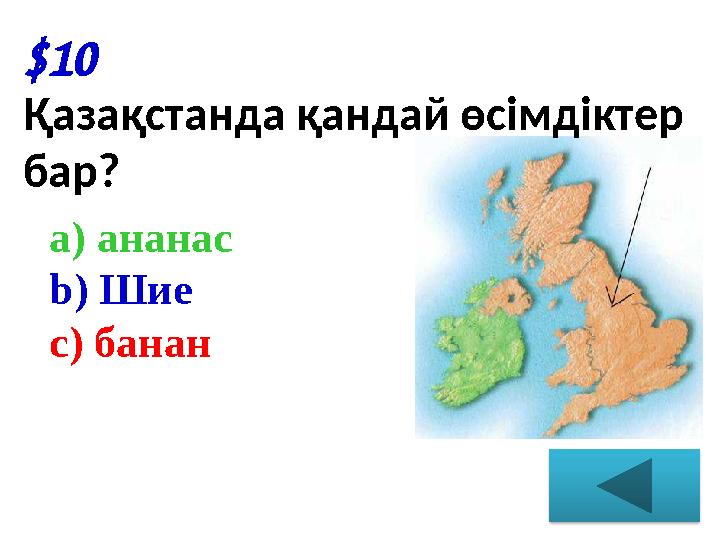 $10 Қазақстанда қандай өсімдіктер бар? a) ананас b) Шие c) банан