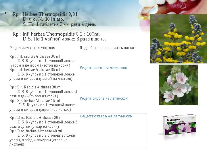 • R р.: Herbae Т h е rm ор sidis 0,01 D. t. d. N. 10 in tab. S. По 1 таблетке 3 - 4 раза в день. R р.: I