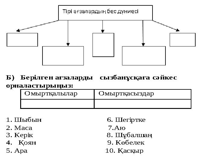 Б) Бе рілге н ағзаларды сызбанұсқаға сә йке с орналастырыңыз: Омыртқалылар Омыртқасыздар 1. Шыбы
