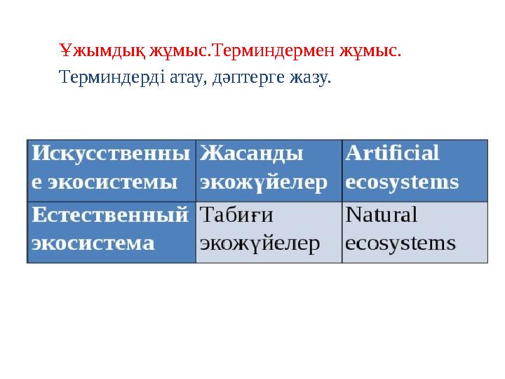 Ұжымдық жұмыс.Терминдермен жұмыс. Терминдерді атау, дәптерге жазу.