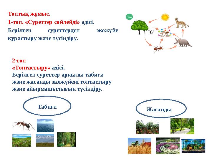 Топтық жұмыс. 1-топ. «Суреттер сөйлейді» әдісі. Берілген суреттерден экожүйе құрастыру және түсіндіру . 2 топ «Топтастыру»