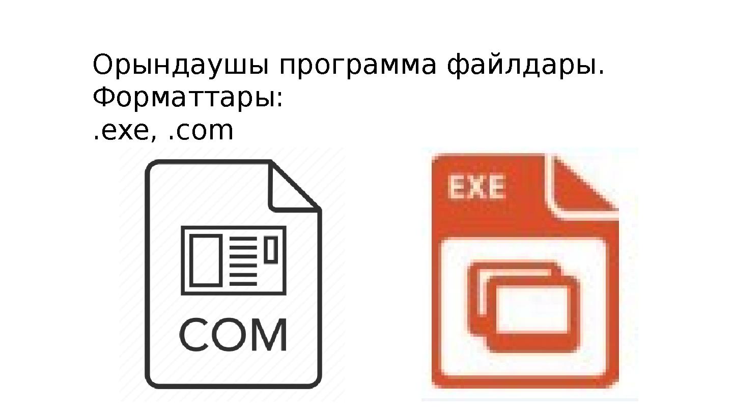 Орындаушы программа файлдары. Форматтары: .exe, .com