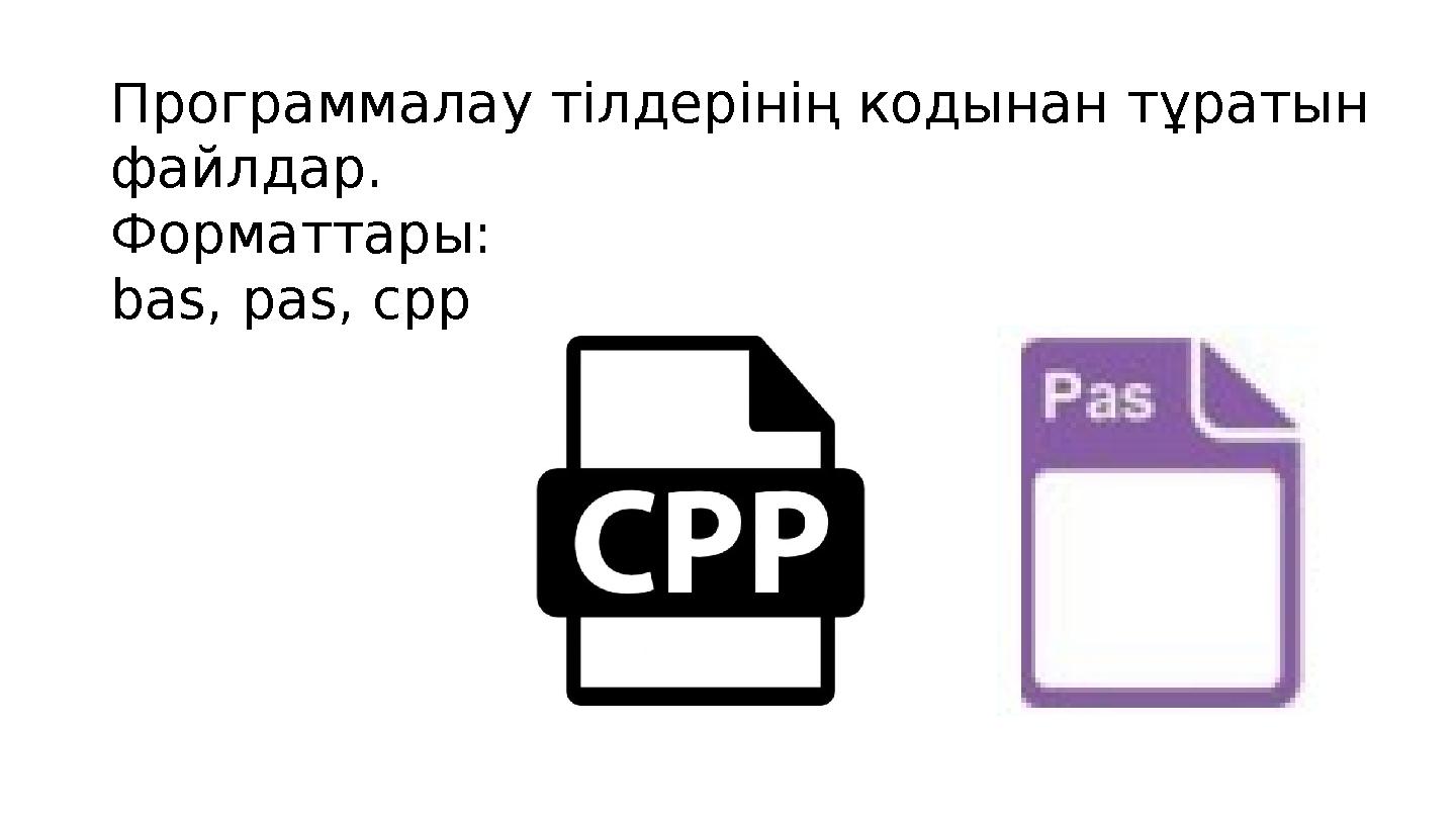 Программалау тілдерінің кодынан тұратын файлдар. Форматтары: bas, pas, cpp