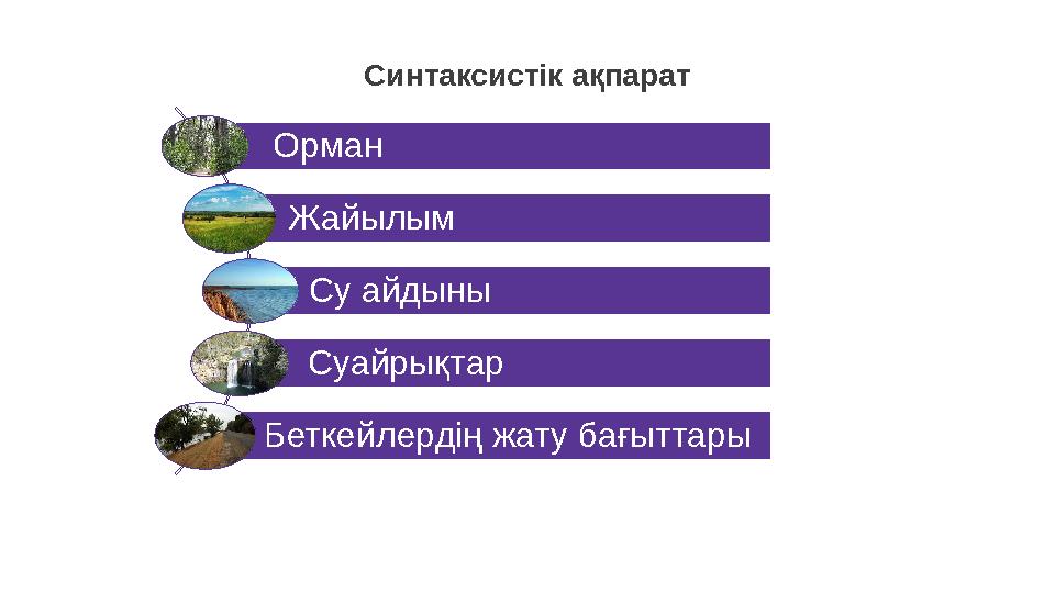 Синтаксистік ақпарат Орман Жайылым Су айдыны Суайрықтар Беткейлердің жату бағыттары