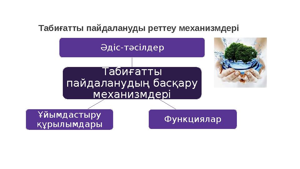 Табиғатты пайдалануды реттеу механизмдері Табиғатты пайдаланудың басқару механизмдері Әдіс-тәсілдер ФункцияларҰйымдастыру құр