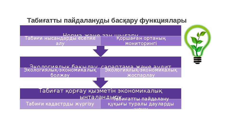 Табиғатты пайдалануды басқару функциялары Табиғат қорғау қызметін экономикалық ынталандыру Табиғи кадастрды жүргізу Табиғатты п